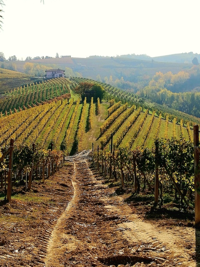 Welcome Piemonte, Experience, Monferrato, Asti, Piemonte, visita guidata