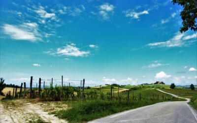 Trekking tra il Monferrato e le Langhe