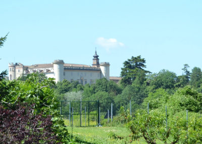 Vista del Castello, Cascina dei Banditi, Costigliole d'Asti, Piemonte